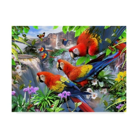 TRADEMARK FINE ART Howard Robinson 'Parrots' Canvas Art, 35x47 ALI23939-C3547GG